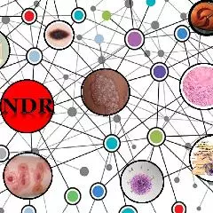 Network of Dermatology Research (NDR)
