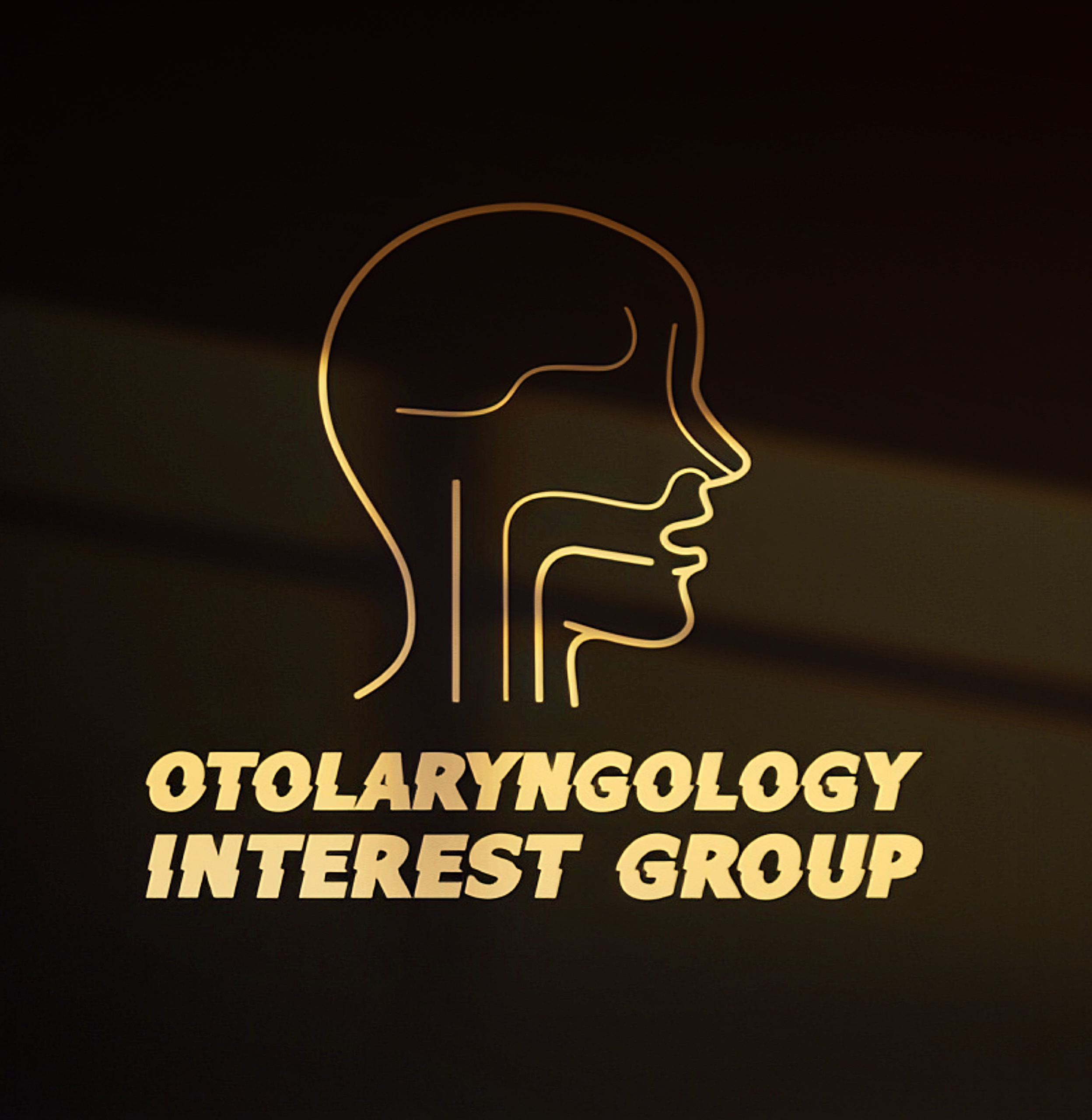 Otolaryngology Interest Group (OIG)