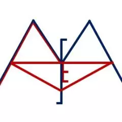 Systematic Review and Meta-analysis Expert Group (SRMEG)